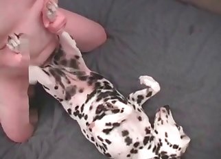 Dalmatian